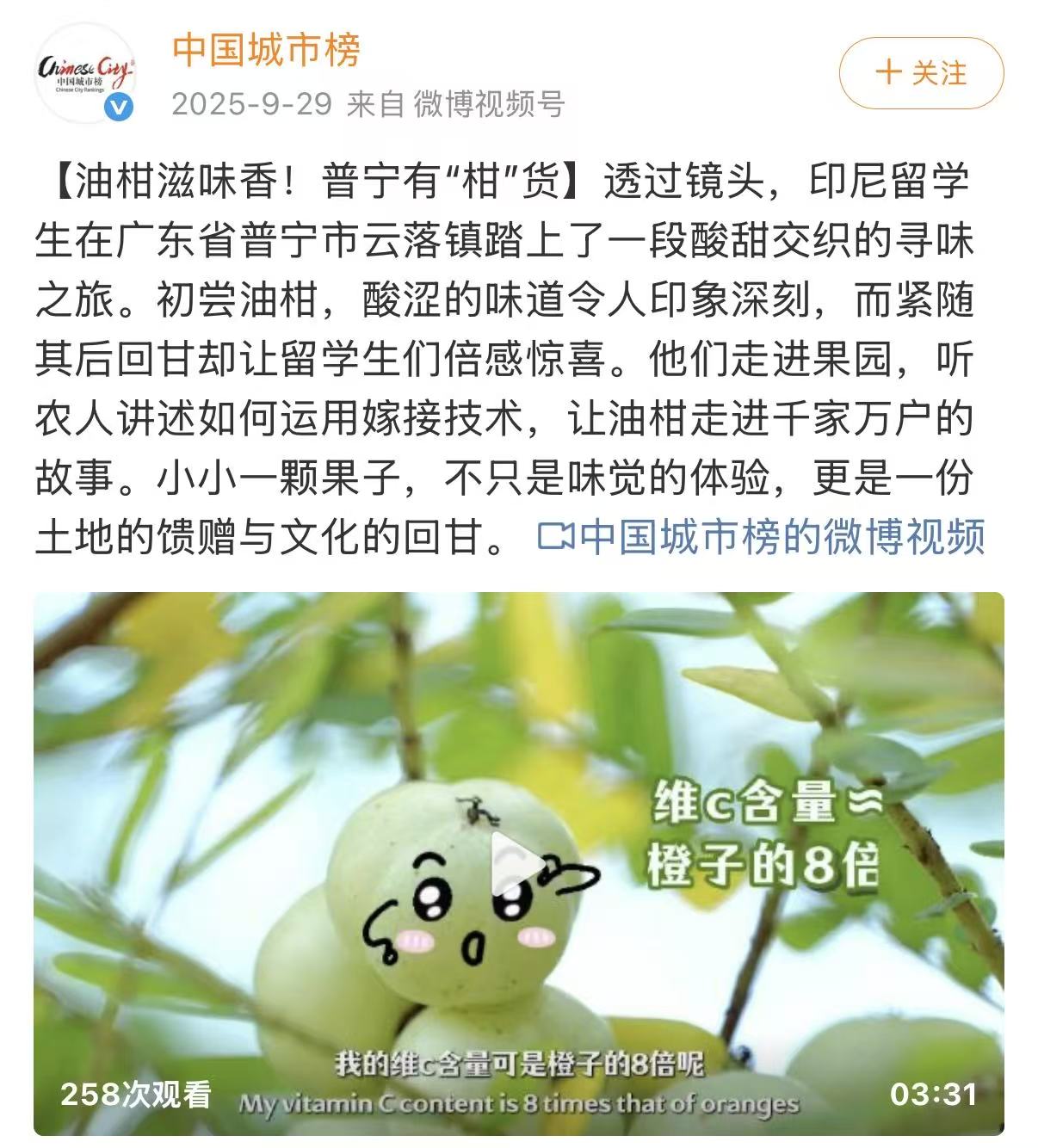 中国城市榜发布页面:油柑滋味香!普宁有“柑”货